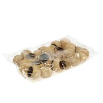 tételeket Bell Cup kis natúr 25 db