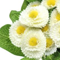 tételeket Bellisbund fehér 22cm 4db