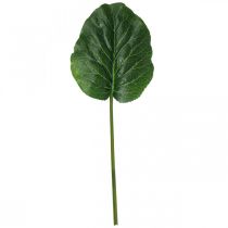 tételeket Mesterséges zöld növény Bergenia zöld mesterséges növény 53cm