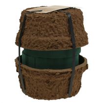 tételeket Nedves virághab tál virágkompozíciókhoz Ø18cm 2 db