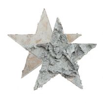 Szórvány nyírfa csillag fehérre meszelt Ø4cm 80p