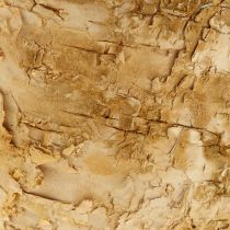 tételeket Kerek virágcserép, natúr díszítésű, kérges nyírfa, Ø12cm, M10cm, 5 db