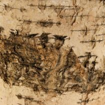 tételeket Nyírfa kéregből készült virágcserép fóliával Ø15cm M13cm 3db