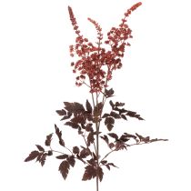 tételeket Művirág Astilbe hosszú szárú pompa 80cm