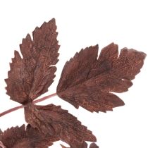tételeket Művirág Astilbe hosszú szárú pompa 80cm