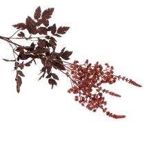 tételeket Művirág Astilbe hosszú szárú pompa 80cm