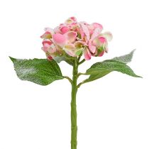 Hortenzia rózsaszín havas 33cm 4db