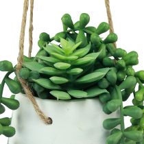 tételeket Függő kosarak pozsgások műzöld válogatott 18cm 3db