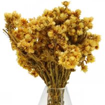 Mini szalmavirág sárga szárított virágcsokor száraz csokor H20cm 15g