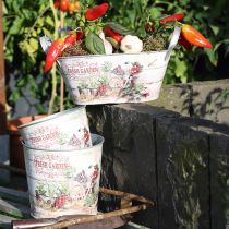 tételeket Virágcserép kis fém színű Fresh Garden H16cm 2db