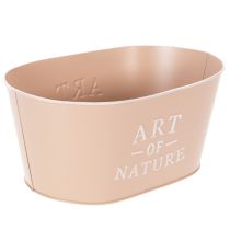 tételeket Ovális cink virágtál, antik rózsa, kaspó, 27×18cm, M12.5cm