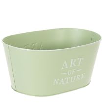 tételeket Virágtál ovális cink mentazöld 27×18cm M12.5cm