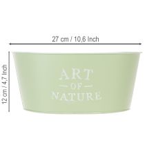 tételeket Virágtál ovális cink mentazöld 27×18cm M12.5cm