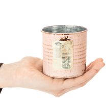 tételeket Virágcserép, díszes konzervdoboz, lazac mintázat, fém fűszertartó, Ø8cm, M7.5cm