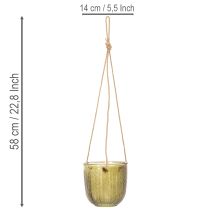 tételeket Üveg virágcserép/függőlámpás, lila/zöld, 14 cm, 2 darab