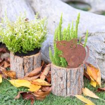 tételeket Virágcserép fa ültető kéreg és egér rozsda M24cm