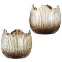 tételeket Virágcserepes Kerámia Tojás Törött Krémbarna Ø11,5cm 2 db