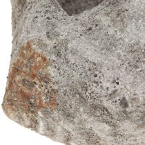 tételeket Virágcserép kagylókő antik szürke tengeri 22×18×13cm