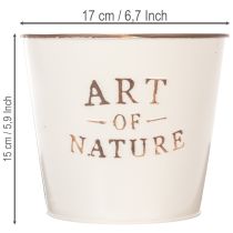 tételeket Cink virágcserép Art of Nature krémszínű Ø17.5cm M15cm