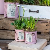 tételeket Virágcserepes díszdoboz kerek régi rózsafém ültető Ø8cm H7,5cm