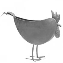 tételeket Virágcserép csirke fém madár cink fém dekoráció 51×16×37cm