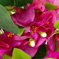 tételeket Műbőr bougainvillea virágág tavaszi dekorációhoz, 100 cm