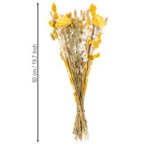 tételeket Szárazvirág-csokor rózsákkal, sola fából. Elegáns csokor otthoni dekorációhoz. 50cm