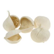 tételeket Buddha dió fehérített 10 db