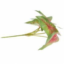 tételeket Mesterséges caladium hatlevelű zöld/rózsaszín műnövény, mint az igazi!