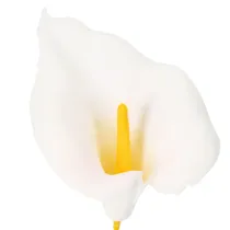 tételeket Műkála sárga porzóval, dekoratív virágokkal, 35 cm, 10 darab