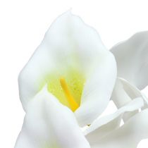 tételeket Calla huzalon kis fehér 50 db