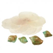 tételeket Capiz gyöngyház gyöngyház szelet tengeri csigaház zöld 3,5-9,5cm 750g