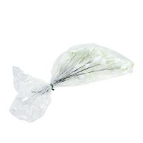 tételeket Karácsonyi rózsa drót fehér 50 db