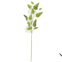 tételeket Műklematisz ág virágokkal, elegáns és kevés karbantartást igénylő dekorációként, 81 cm, 2 darab
