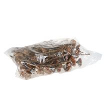 tételeket Compacta Rosette 100 db