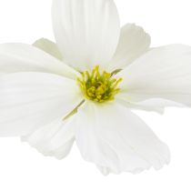 tételeket Mű kozmosz virágok, nyári dekoráció asztalra és szobába, 50cm