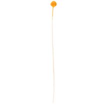 tételeket Craspedia szárazvirág csokor 55cm 20db