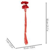 tételeket Szárított Craspedia virágok, festettek, hosszú szárral, 55 cm, 20 darab