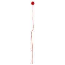 tételeket Szárított Craspedia virágok, festettek, hosszú szárral, 55 cm, 20 darab