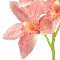 tételeket Cymbidium orchidea mesterséges 5 virágú őszibarack 65cm