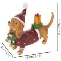 tételeket Dekoratív tacskó figura ajándékcsomaggal és kalappal, 18cm