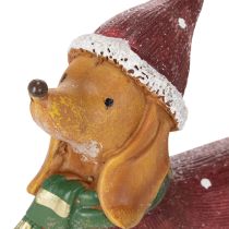 tételeket Dekoratív tacskó figura ajándékcsomaggal és kalappal, 18cm