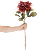 tételeket Műdália hosszú szárral, 68 cm