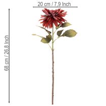 tételeket Műdália hosszú szárral, 68 cm