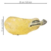 tételeket Dekoratív körteültető őszi kaspó betonból 25×13×11cm