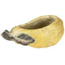 tételeket Dekoratív körteültető őszi kaspó betonból 25×13×11cm