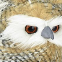 tételeket Díszbagoly, őszi, erdei állat, téli dekoráció H27cm