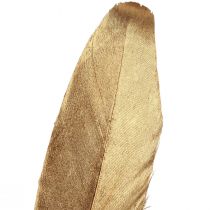 tételeket Dísztoll arany karácsonyi dísztoll 15-20cm 12 db