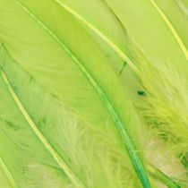 tételeket Dekoratív toll kézműves libatoll világoszöld 20g x 2db