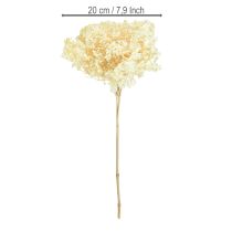 tételeket Dekoratív Hortenzia Krémszínű Valódi Virágtartós Ø20cm 1 db